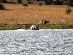 090516_Pilanesberg 227